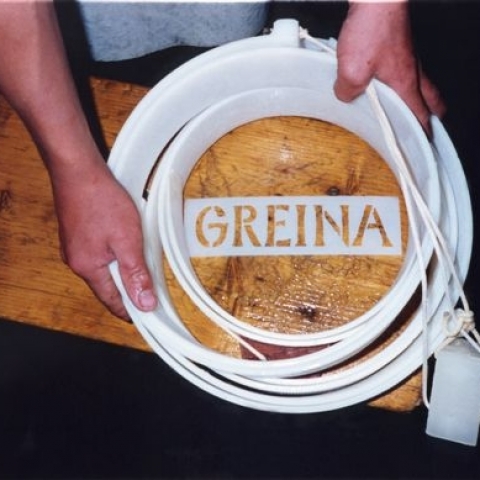 Greina - FFDL