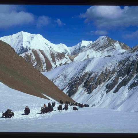 Crossing the Himalaya - FFDL